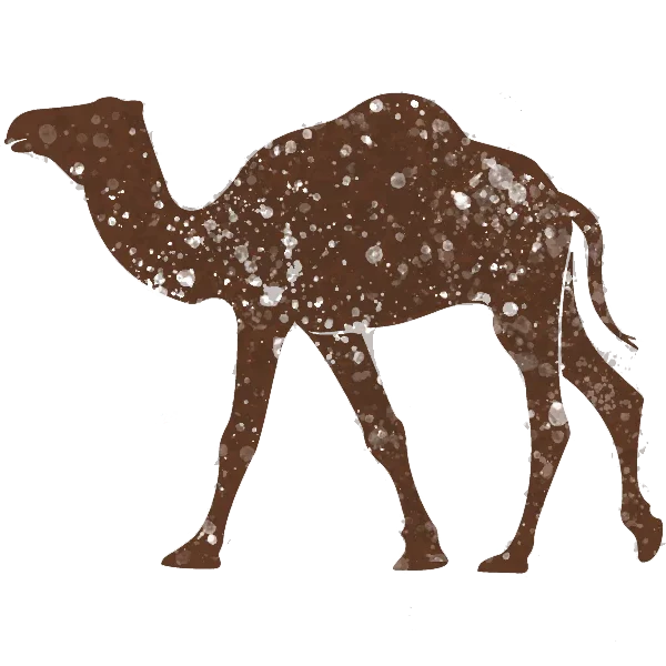 camello